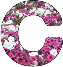 Deko-Buchstaben-Blumen_C.jpg